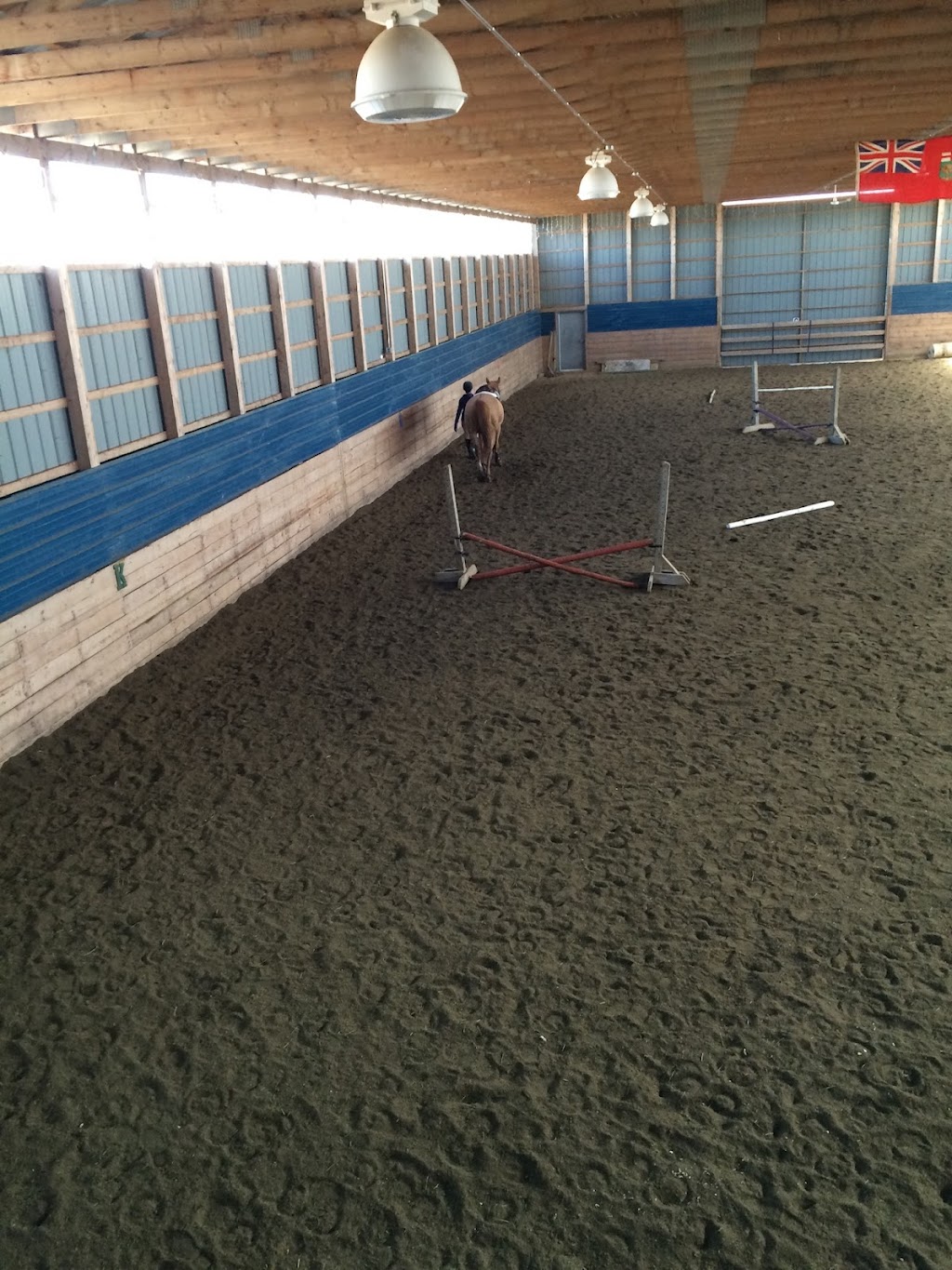 Lea Bank Equestrian Centre | Box 352, Rosenort, MB R0G 1W0, Canada | Phone: (204) 226-0746