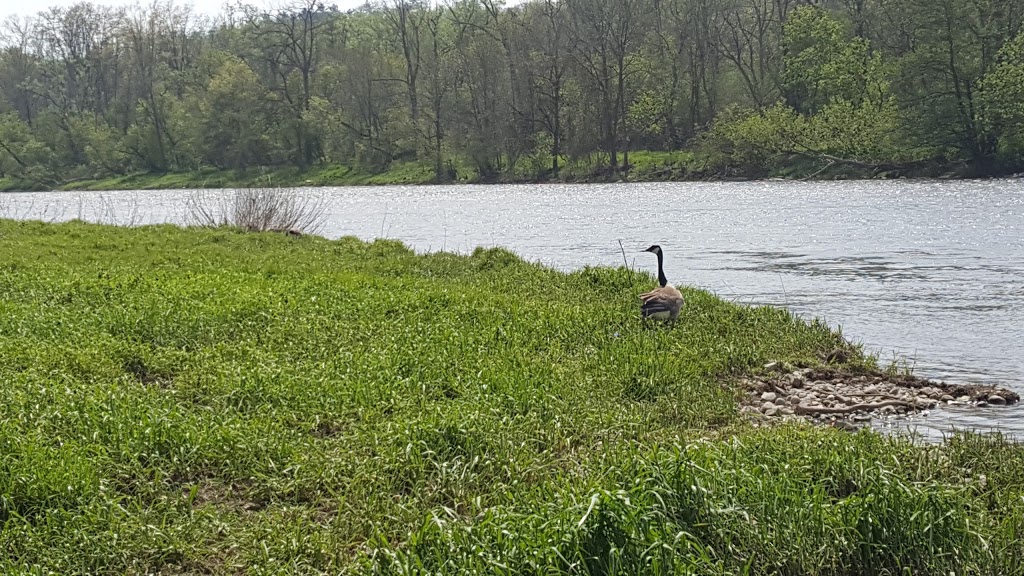 Cambridge to Paris Rail Trail - Cambridge Trailhead | 210 Water St S, Cambridge, ON N1R 5S6, Canada | Phone: (519) 621-2761