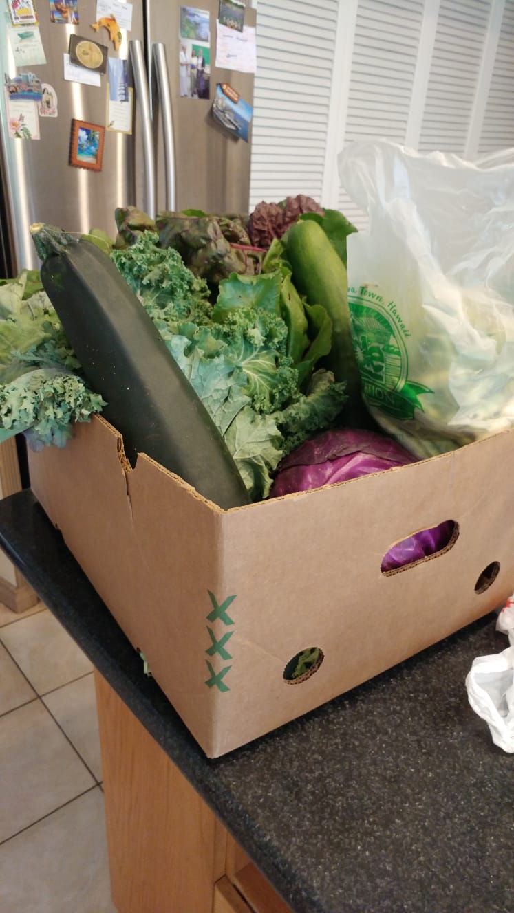 Ryans Rainbow Emergency Food Outreach | 1600 Cliff Ave, Burnaby, BC V5A 2K2, Canada | Phone: (604) 761-4357