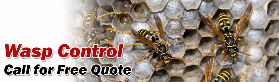 Advance Pest Control Langley | 27353 58 Crescent #207, Langley City, BC V4W 3W7, Canada | Phone: (604) 786-4161