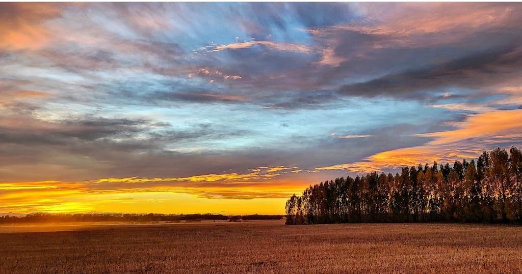 Wavy Lake Farm | 36360 Range Road 272, Red Deer County, AB T0M 1R0, Canada | Phone: (403) 396-8590