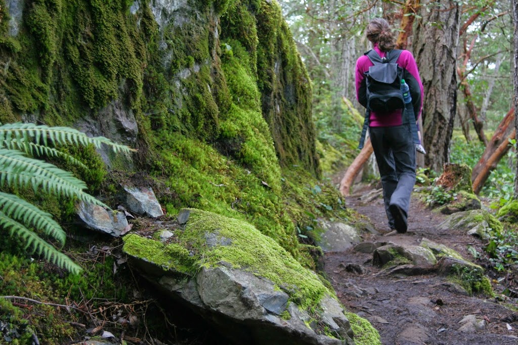 Ellen Luchkow, RMT Massage Therapy | 5066 Francis Peninsula Rd, Madeira Park, BC V0N 2H1, Canada | Phone: (778) 888-2012