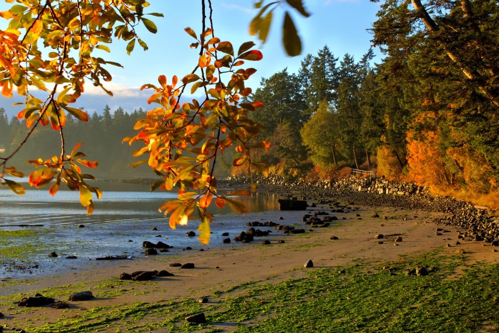 Saanichton Bay Park | Central Saanich, BC V8M 2C1, Canada