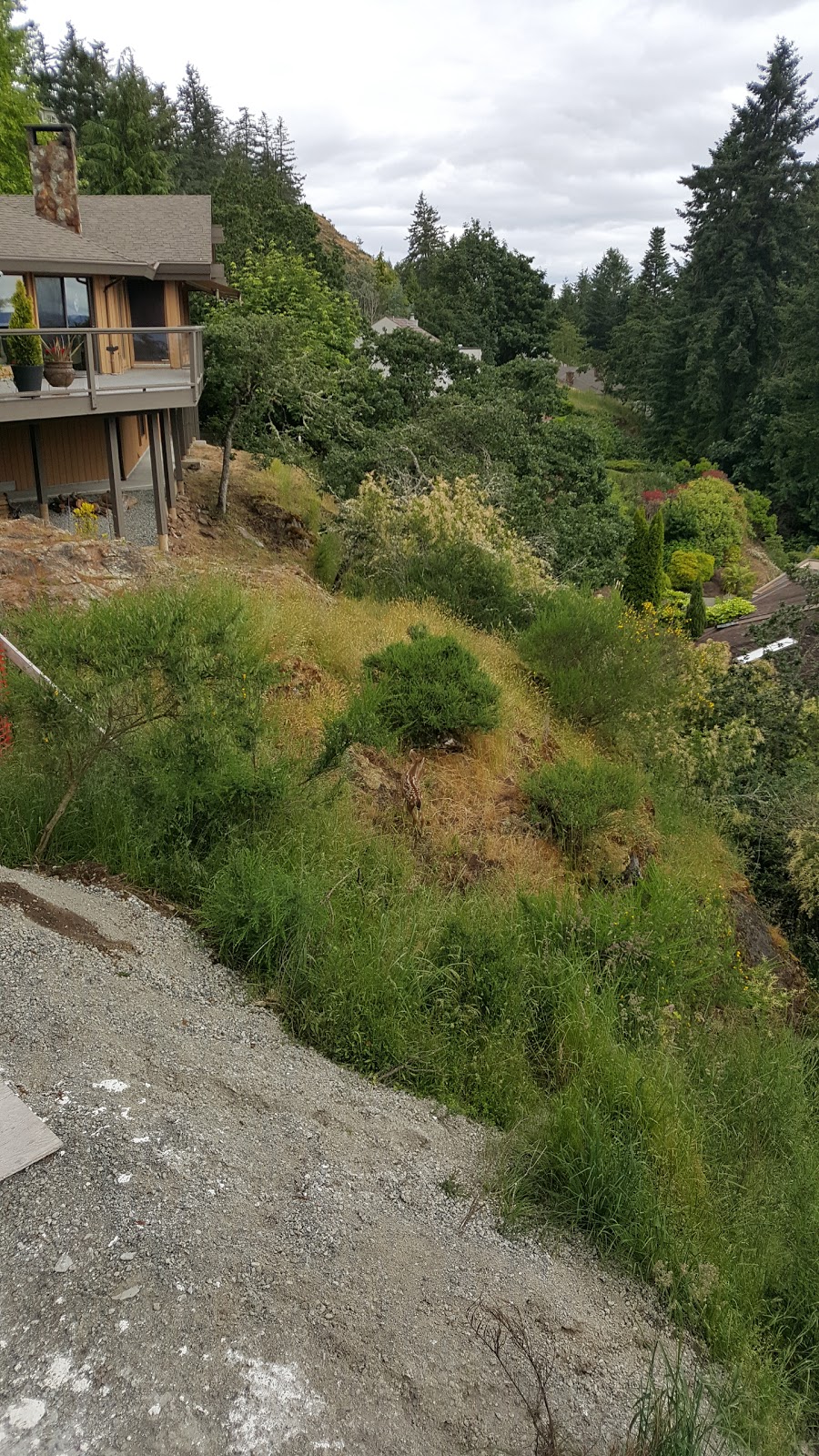 Perez Park | 4651 Boulderwood Dr, Victoria, BC V8Y 3G5, Canada