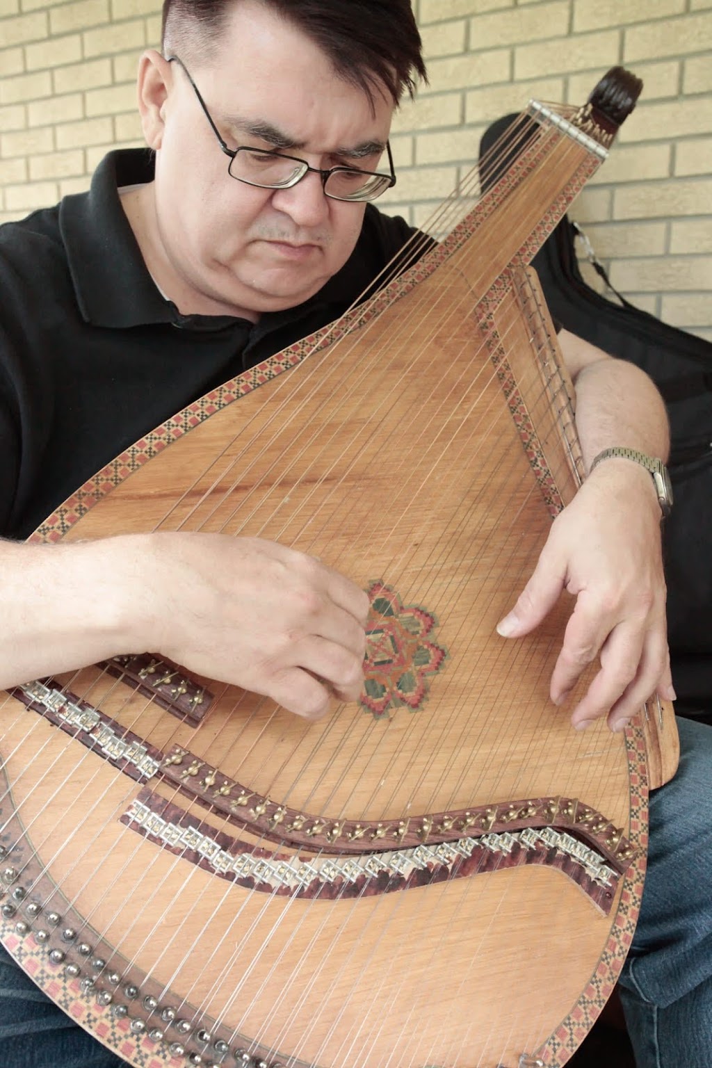 Victor Mishalow - Bandurist | 2053 Lorelei Rd, Mississauga, ON L5A 1C1, Canada
