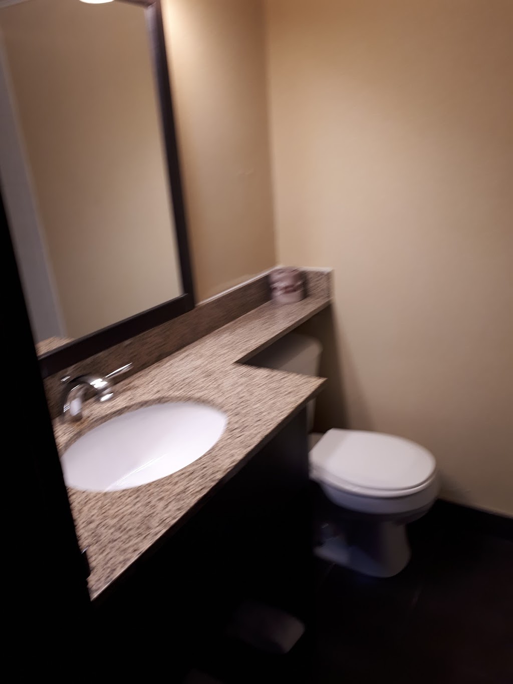 Versatile Inn Hotel | 1716 London Line, Sarnia, ON N7T 7H2, Canada | Phone: (519) 541-9400