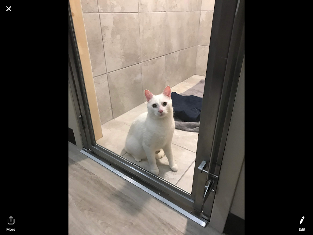 Kanata Lakes Animal Clinic | Unit: Y5A, 145, Roland Michener Dr, Kanata, ON K2T 1G7, Canada | Phone: (613) 271-2323