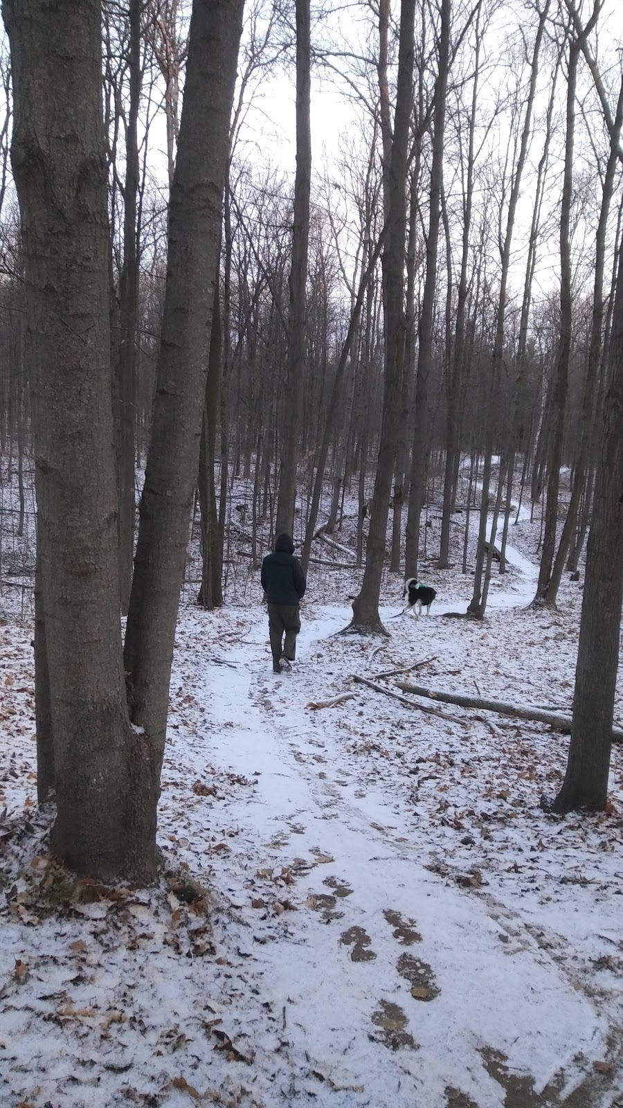 Brown Hill Tract | 4389 Ravenshoe Rd, East Gwillimbury, ON, Canada
