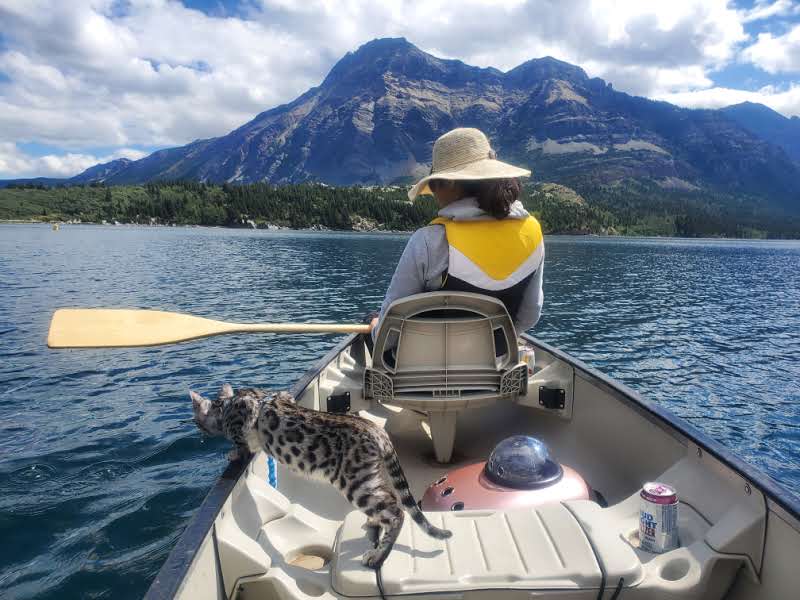 Blakiston & Company | 102 Mt View Rd, Waterton Park, AB T0K 2M0, Canada | Phone: (800) 456-0772