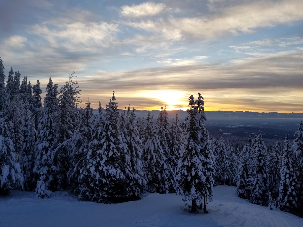 Big White Ski Resort Ltd | 5929 Snow Pines Cres, Kelowna, BC V0H 1A0, Canada | Phone: (250) 765-7235