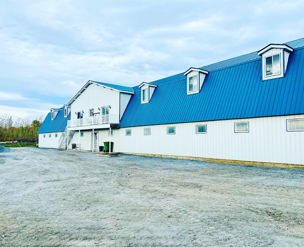 Domaine Greenfield | 4900 Chem. Bellerive, Carignan, QC J3L 1P3, Canada | Phone: (514) 503-6658