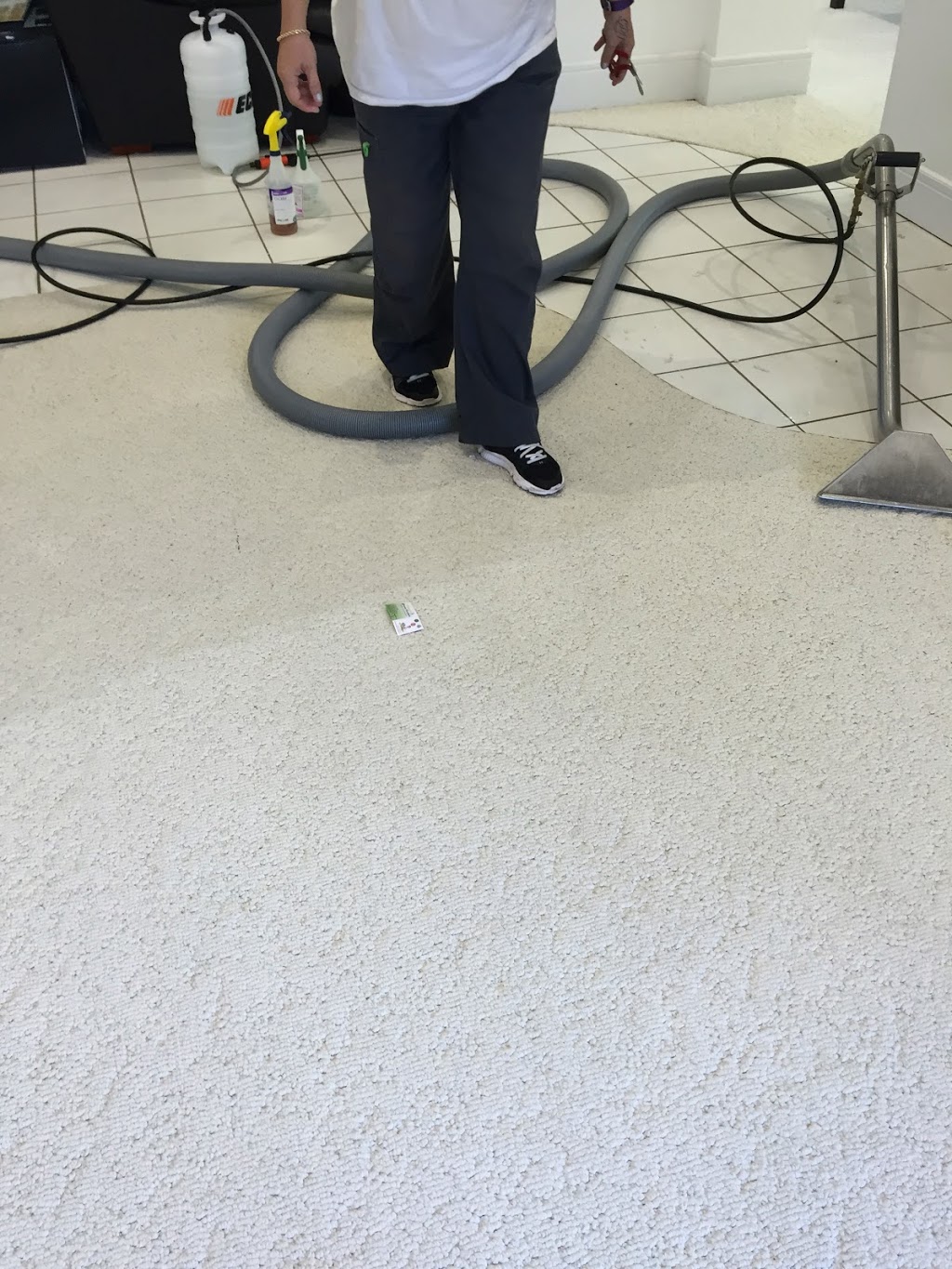 Organic Green Carpet And Upholstery Steam Cleaning Professionals | 3311 Bathurst St, North York, ON M6A 2B5, Canada | Phone: (416) 473-7411