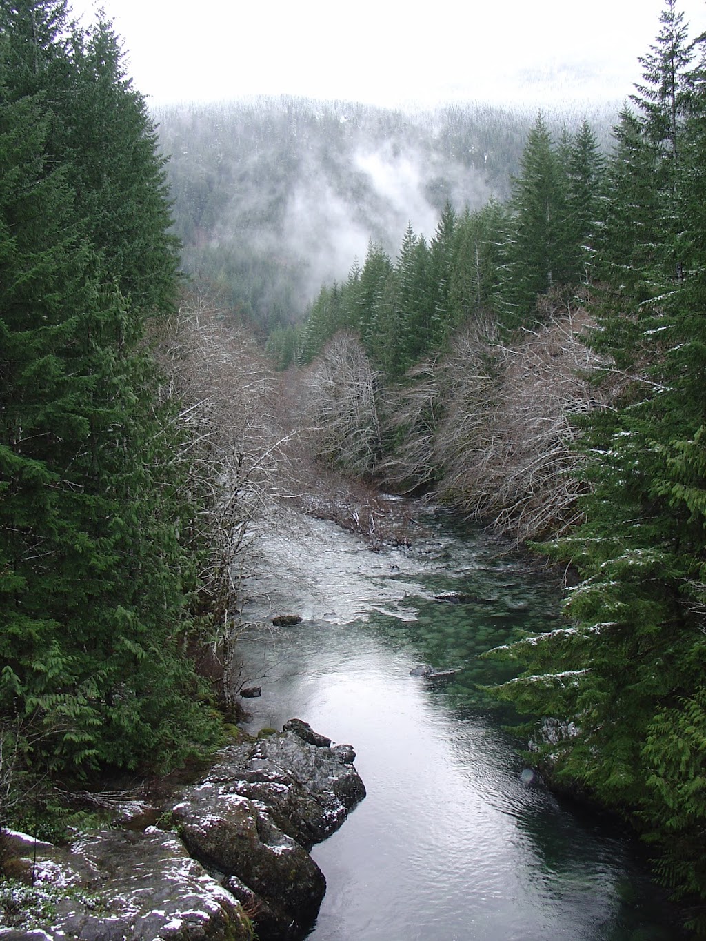Botanical Getaway Guest House | 6528 Cerantes Rd, Port Renfrew, BC V0S 1K0, Canada | Phone: (250) 647-5483
