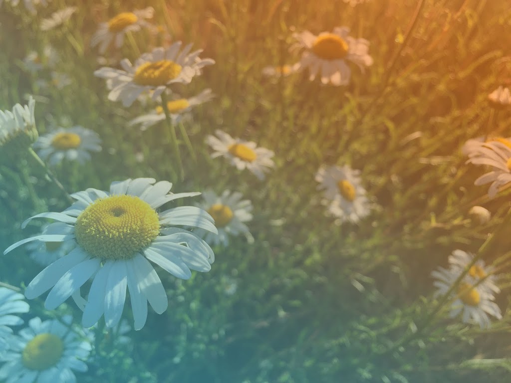 Tremkoe HVAC | 4039 Eliza Ave Suite 104, Bellingham, WA 98226, USA | Phone: (360) 739-6371