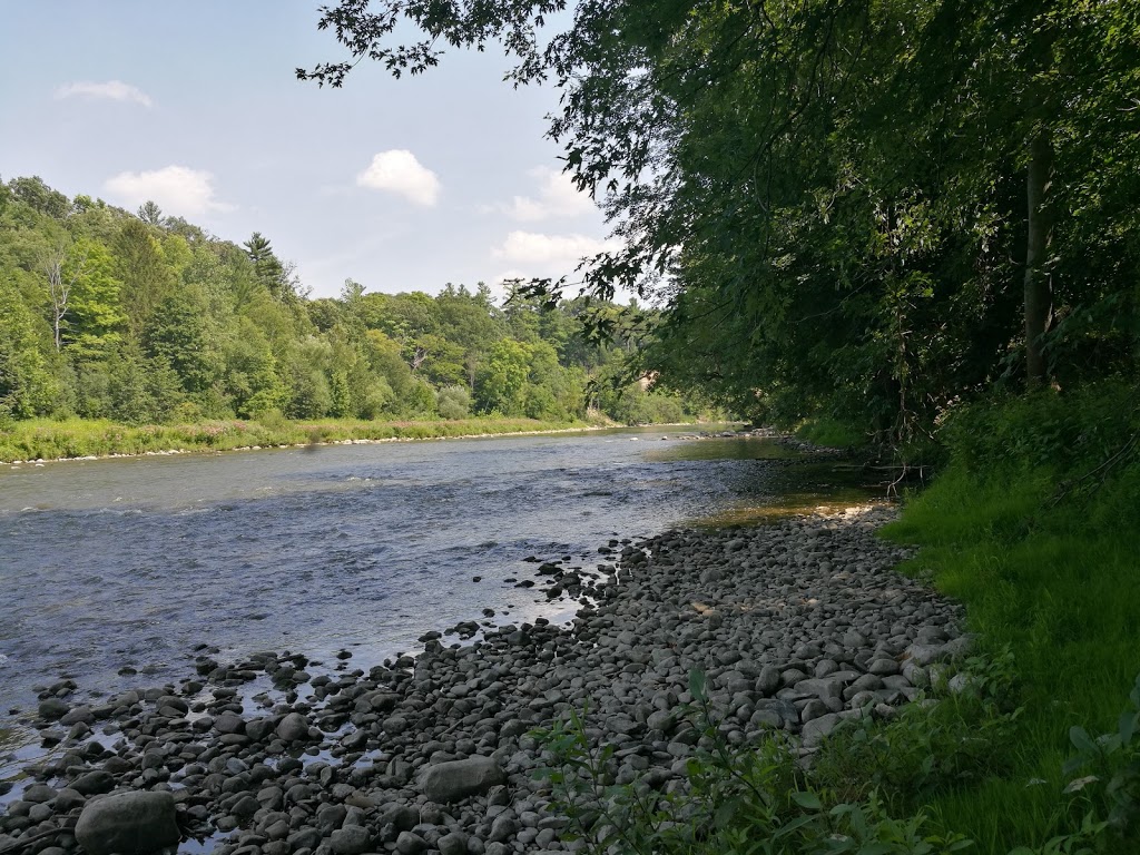 Kains woods environmental area | Unnamed Road, London, ON N6K 0A4, Canada
