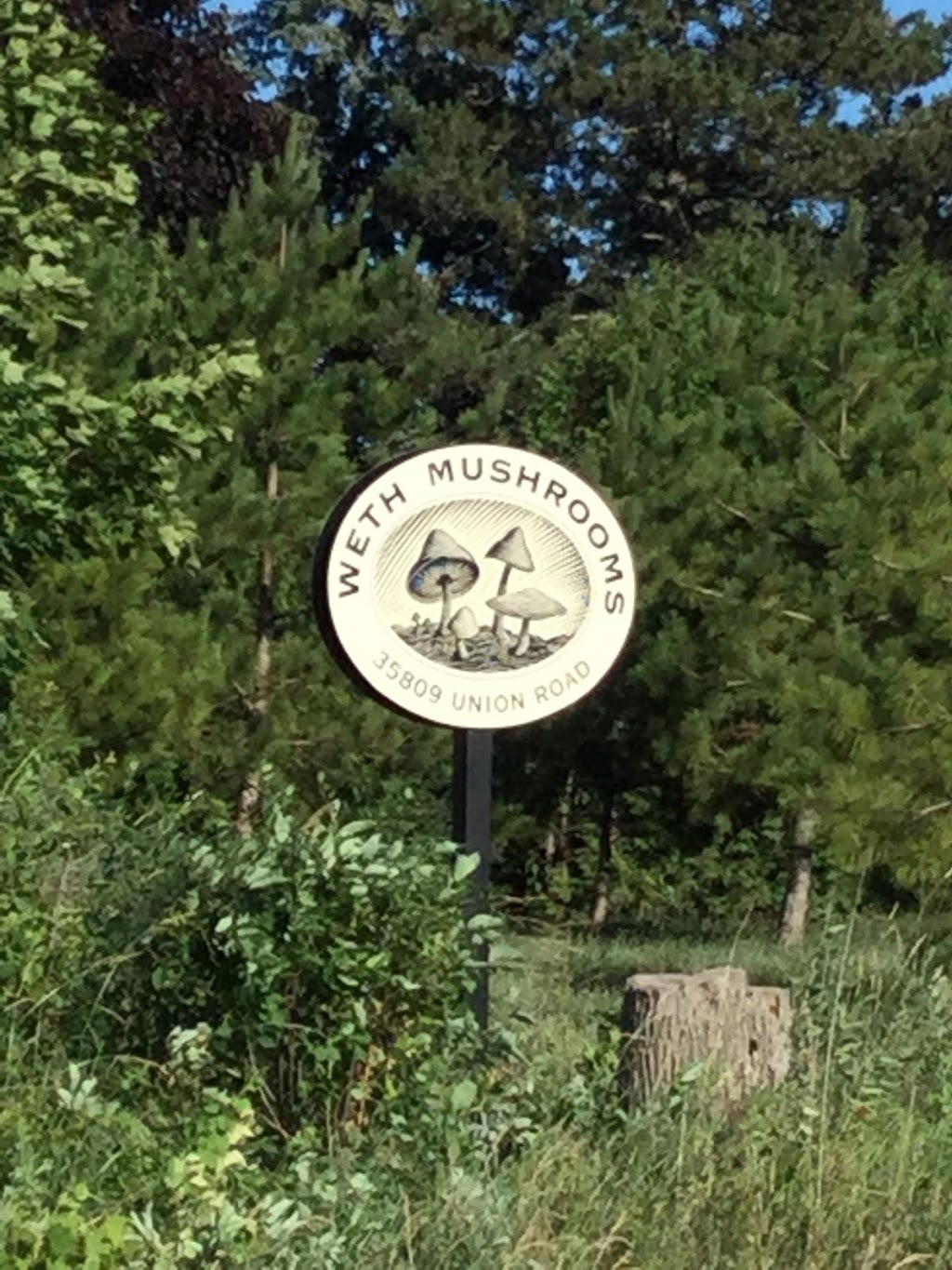Weth Mushrooms Inc. | 35809 Union Rd RR2, Goderich, ON N7A 3X8, Canada | Phone: (519) 524-4263