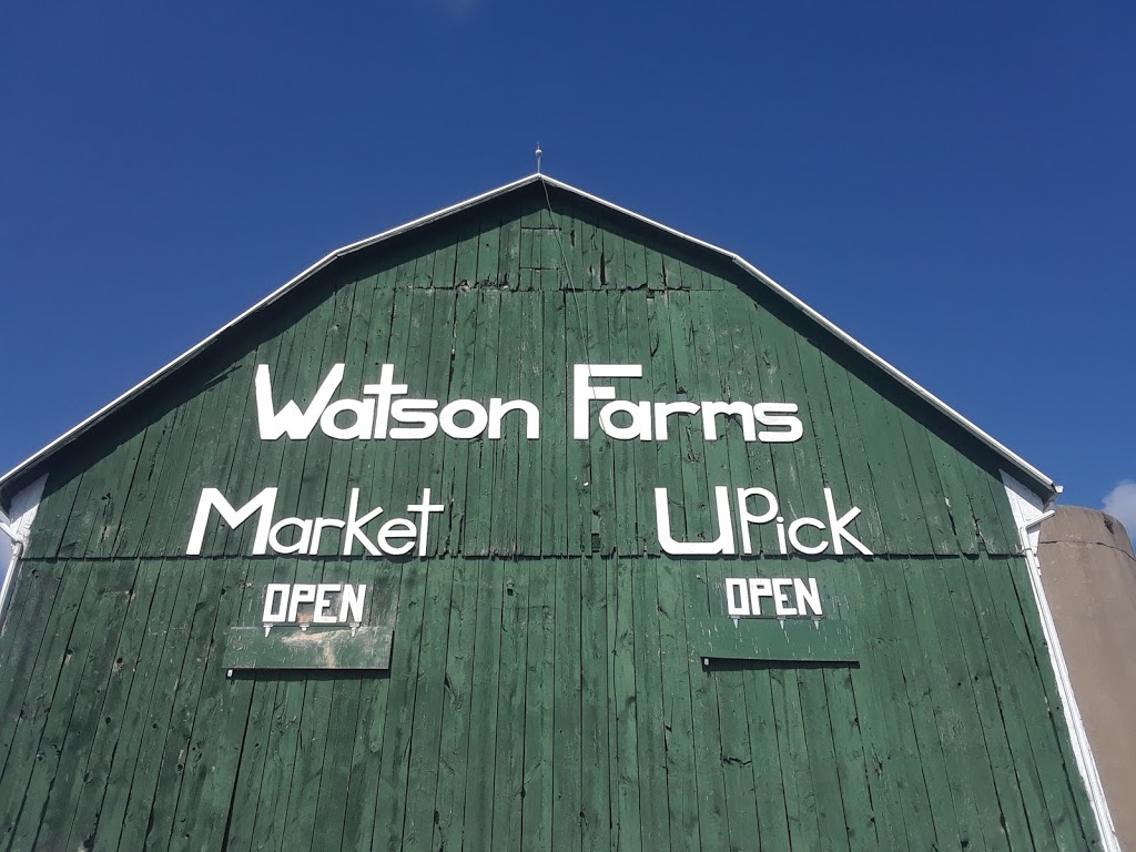 Watson Farms PYO | 2287 Durham Regional Hwy 2, Bowmanville, ON L1C 3K3, Canada | Phone: (905) 623-7252