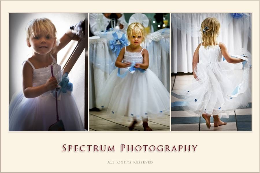 Spectrum Photography | 408 Cushman Rd, St. Catharines, ON L2M 7X7, Canada | Phone: (905) 938-3744