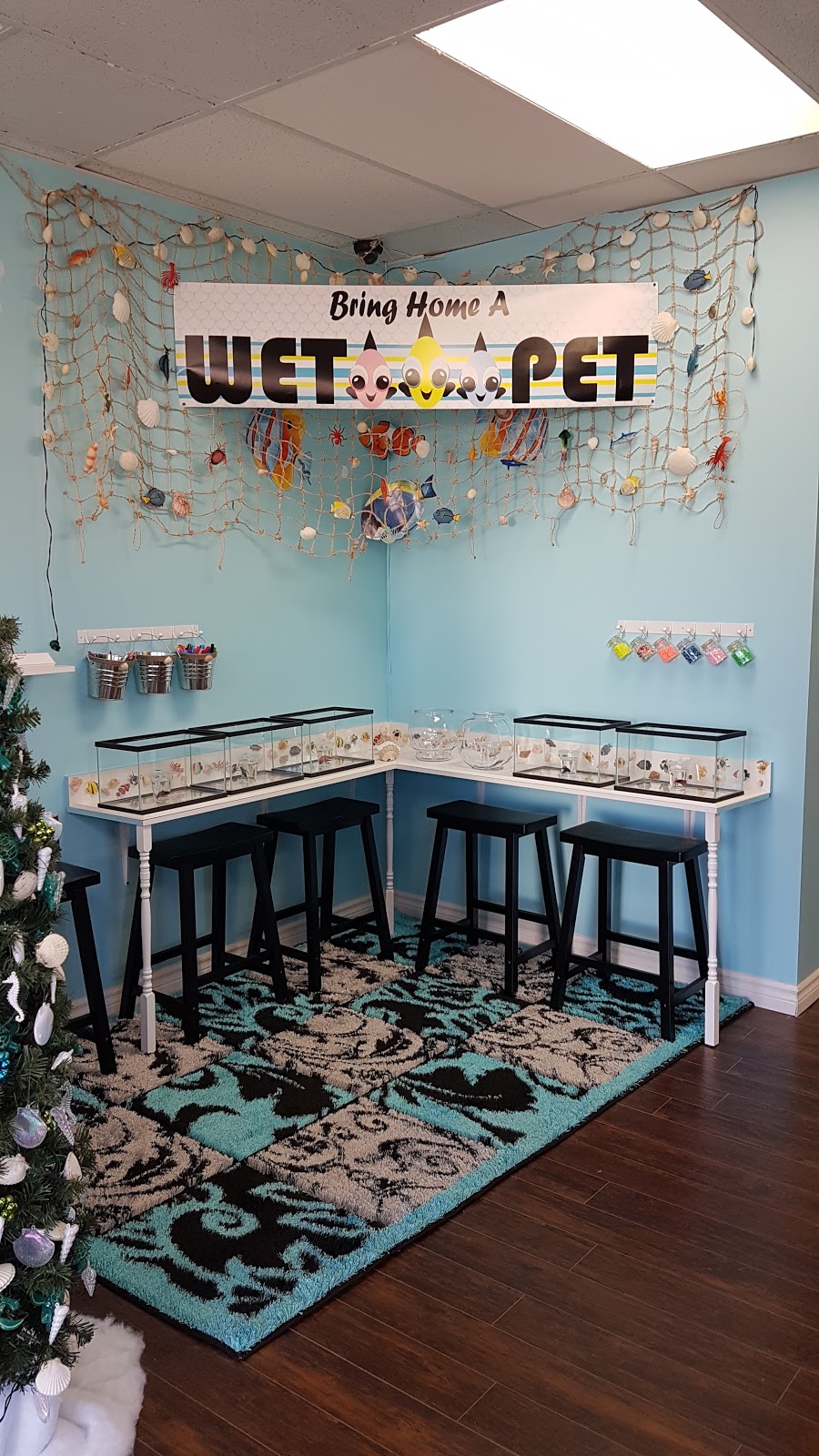 WET PETS AQUARIUMS INC. | 295 Main St E UNIT #4, Milton, ON L9T 1P1, Canada | Phone: (289) 851-2606