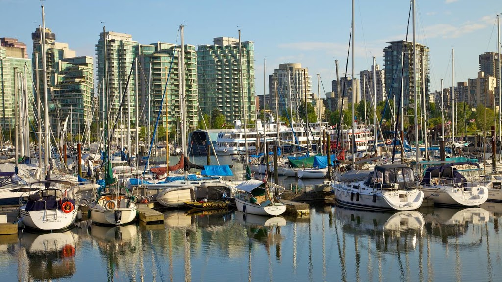 south coast enterprises | 12283 224 St #110, Maple Ridge, BC V2X 8Z3, Canada | Phone: (604) 726-3962