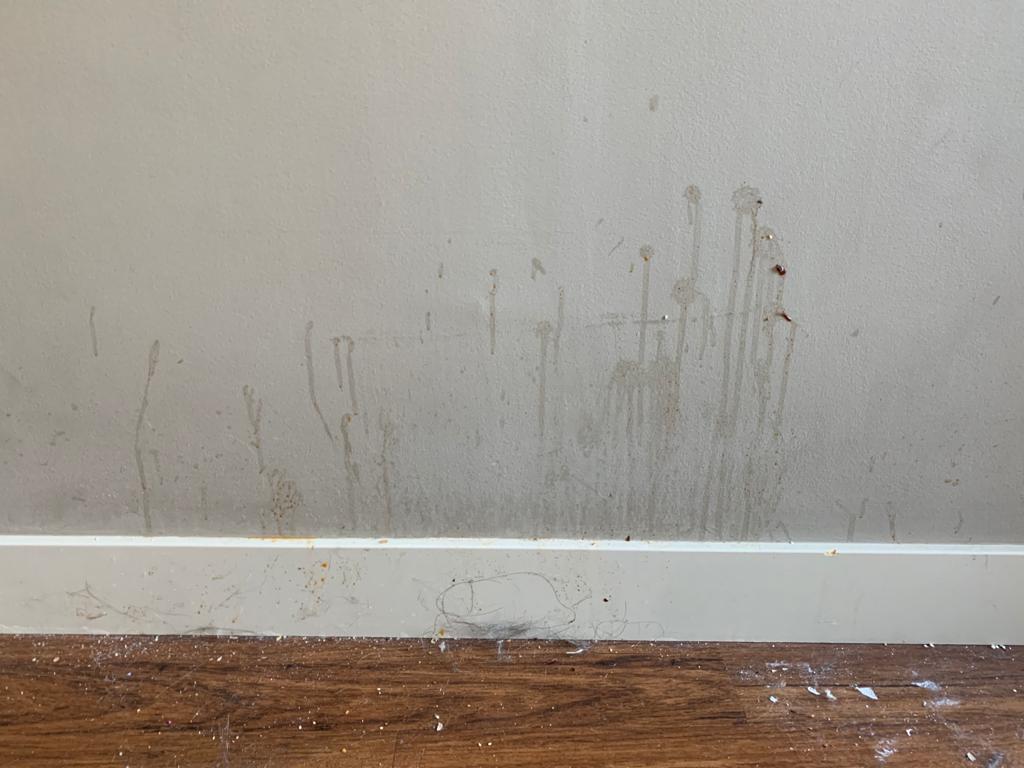 Sparkle & Sheen Organize And Cleaning Services Ltd. | 1240 161 St SW, Edmonton, AB T6W 3N6, Canada | Phone: (825) 512-1277
