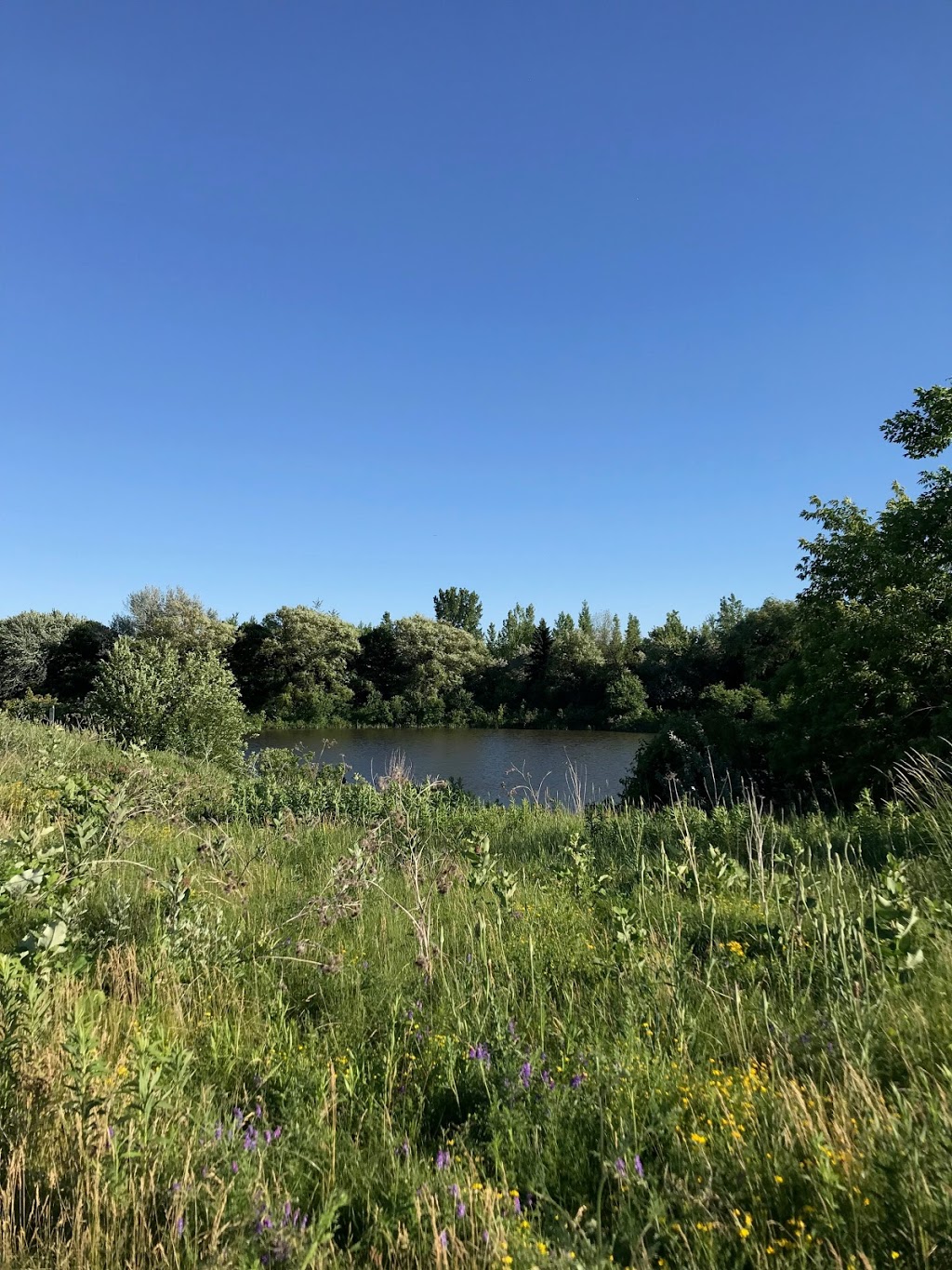 Anjou-sur-le-lac | 10021 Promenade des Riverains, Montreal, QC H1J 3B7, Canada | Phone: (514) 353-2424