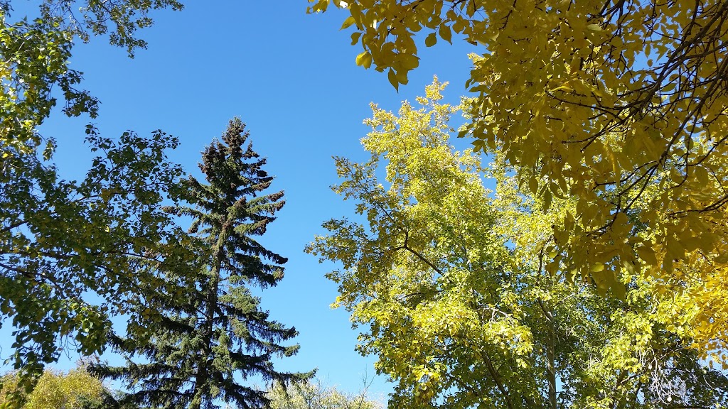 Hastings Park | 216 Hastings Crescent, Regina, SK S4T 7N9, Canada | Phone: (306) 777-7000