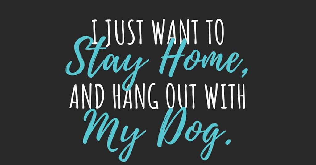 Love Your Pet Animal Care Professionals | 10213 Township Rd 284A, Crossfield, AB T0M 0S0, Canada | Phone: (403) 265-7387