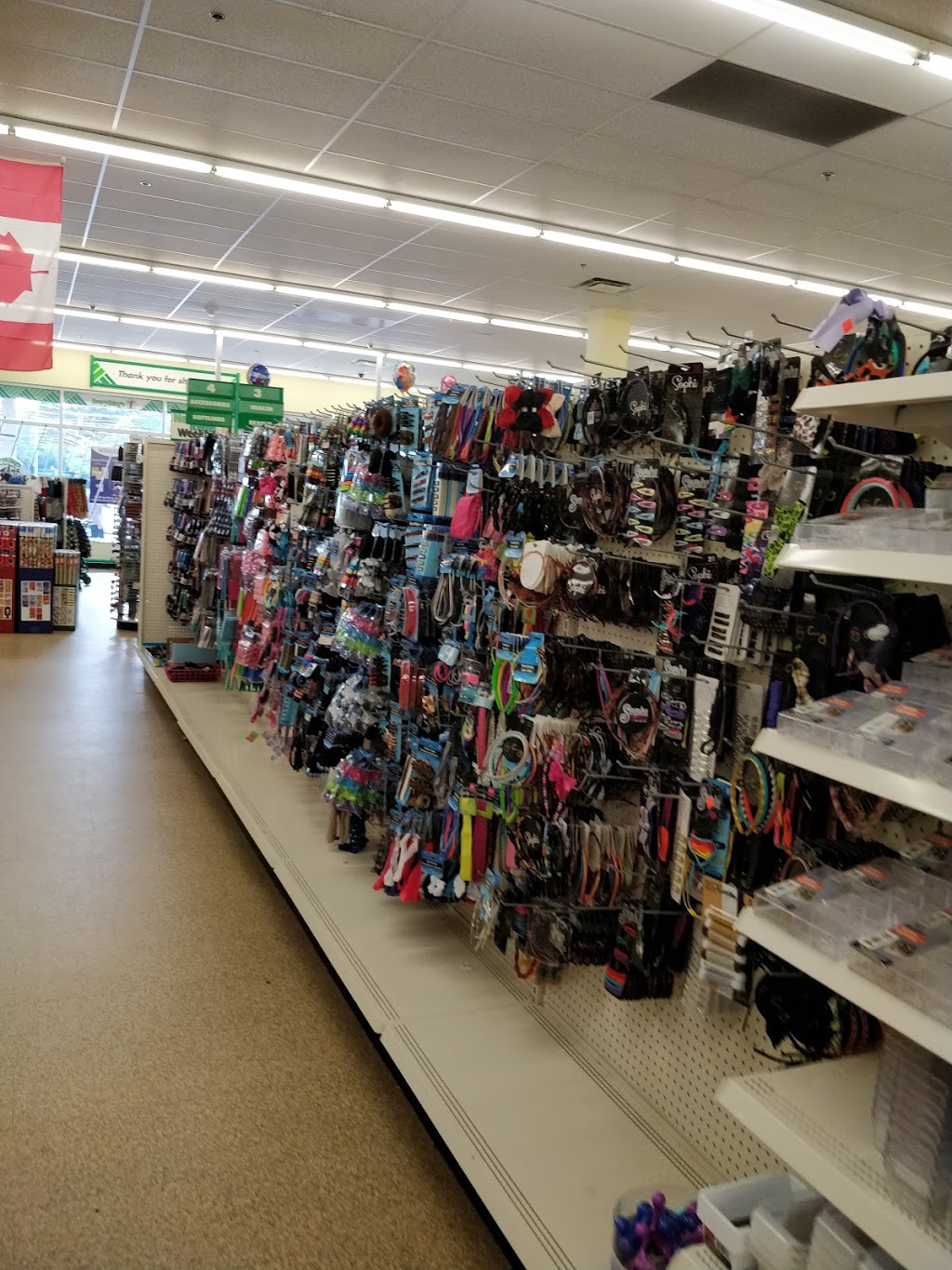 Dollar Tree | 1540 Huron Church Rd #2, Windsor, ON N9C 3Z3, Canada | Phone: (519) 255-9300