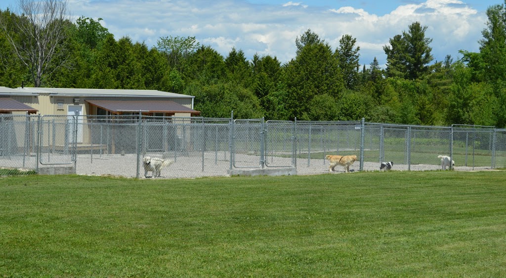 Goldnote | 1057 Wood Rd, Tay, ON L0K 2E0, Canada | Phone: (705) 322-6134
