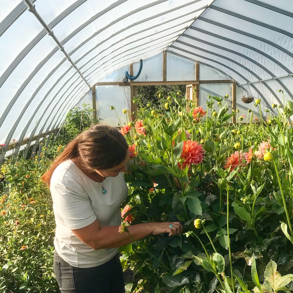 Two Birds One Stone Farm (Flower Farm) | 3442 NS-359, Centreville, NS B0P 1J0, Canada | Phone: (902) 385-8818
