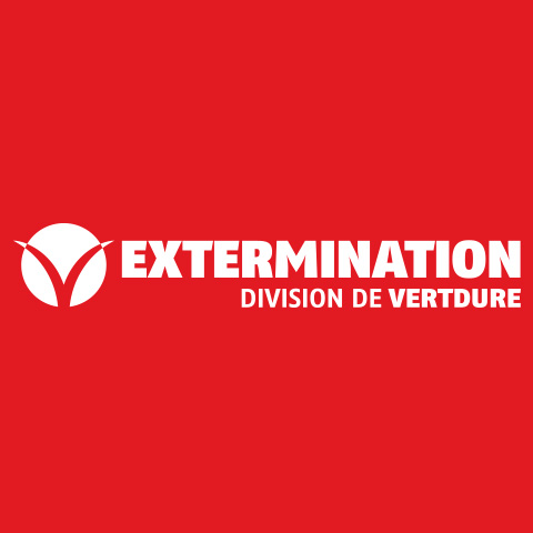 V Extermination - Exterminateur Trois-Rivières | 3715 Boulevard, Rue Saint Joseph, Trois-Rivières, QC G8Z 4J4, Canada | Phone: (819) 372-3303