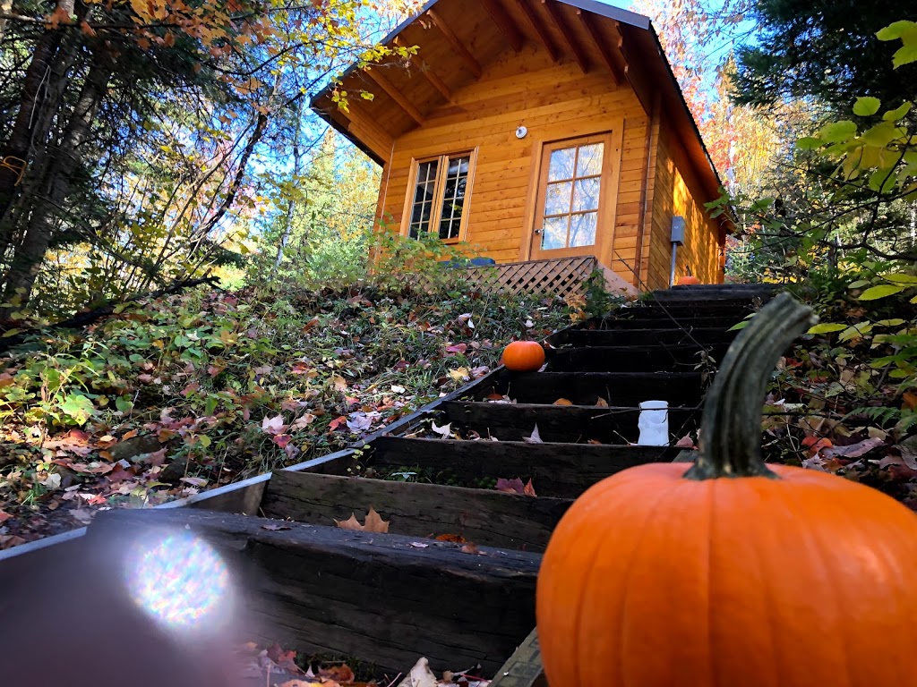 Domaine Lausanne | 150 Rte 117N, Sainte-Agathe-des-Monts, QC J8C 2Z8, Canada | Phone: (819) 326-3550