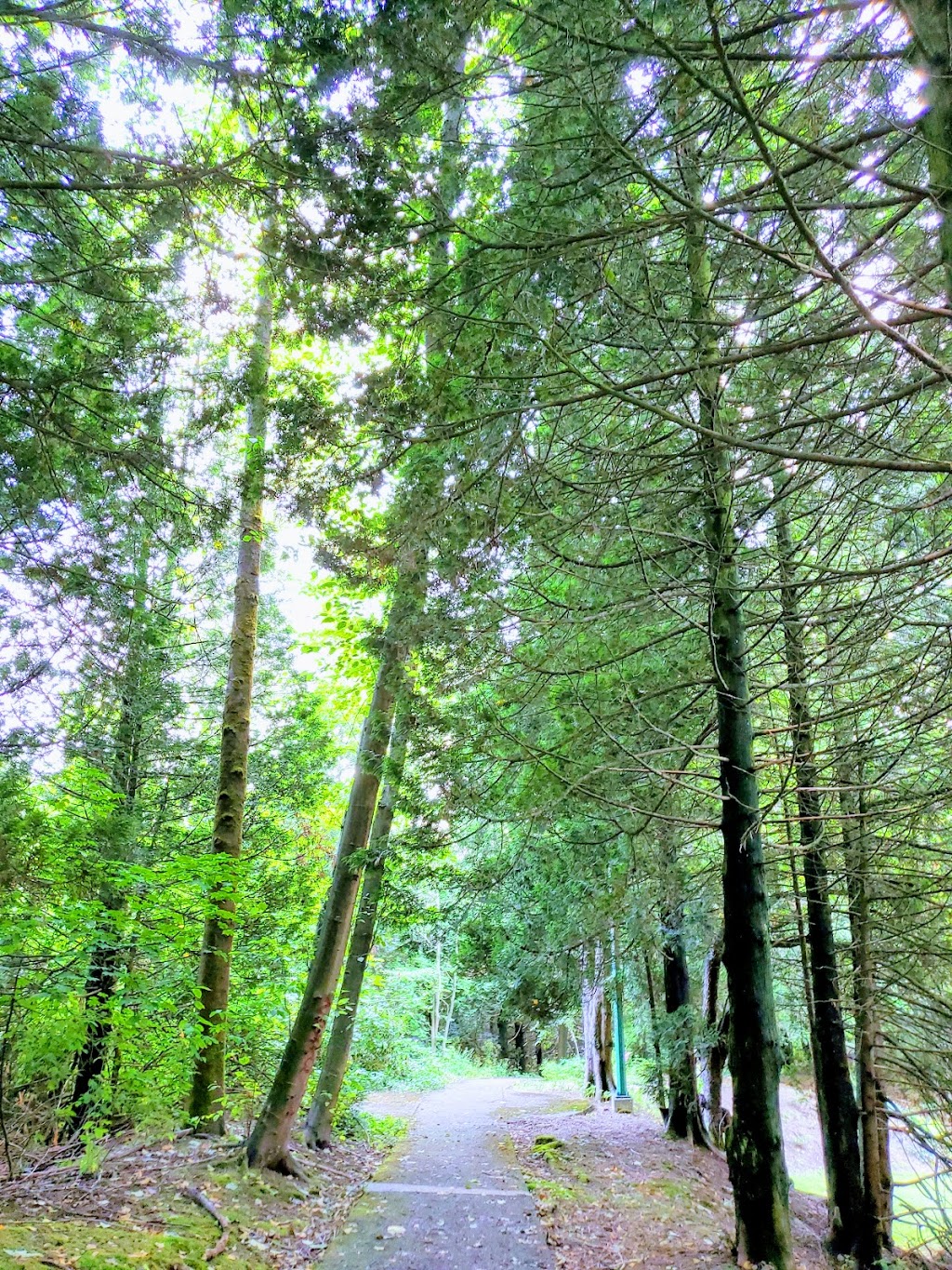Rochester Walkway | 9740 Rochester St, Burnaby, BC V3N 4M9, Canada | Phone: (604) 294-7450