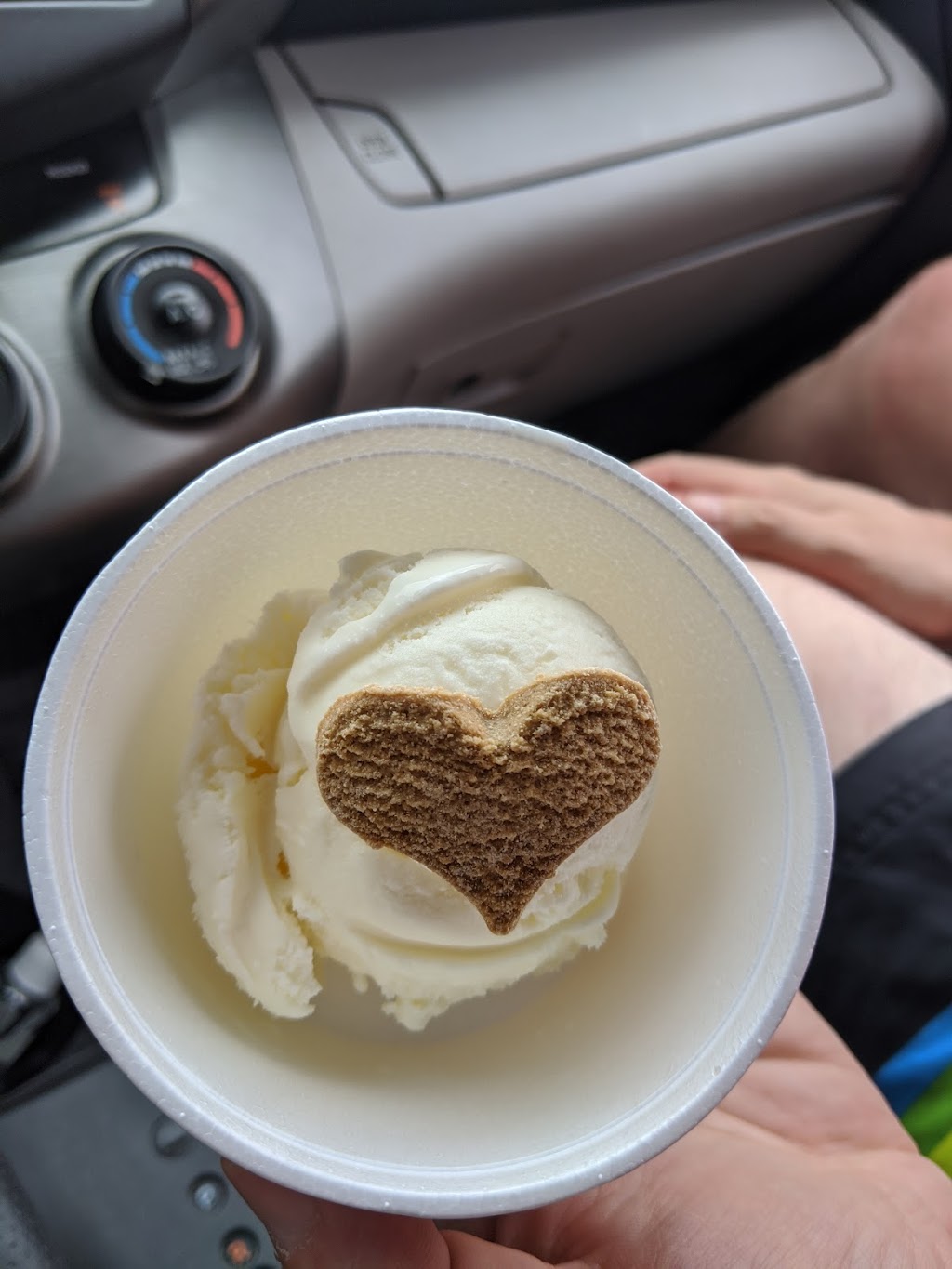 Fundy Scoops | 309 NS-311, North River, NS B6L 6G9, Canada | Phone: (782) 222-2007