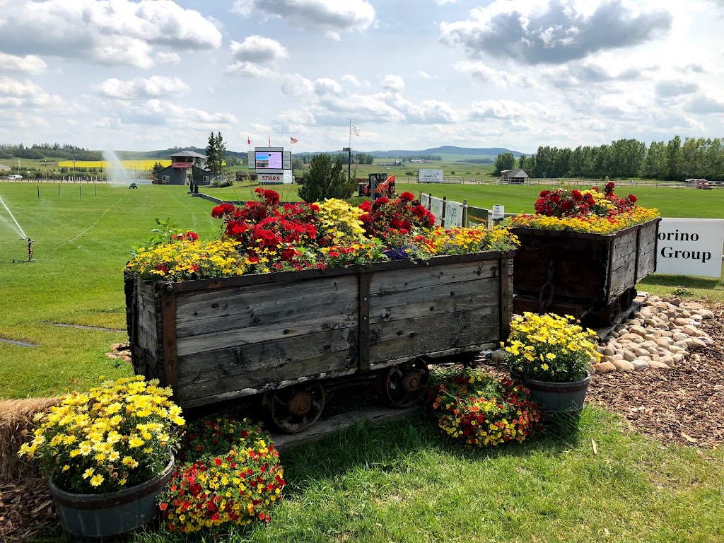 Sirocco Golf Club | 210178 64 St W, Alberta T1S 5G5, Canada | Phone: (403) 201-5505