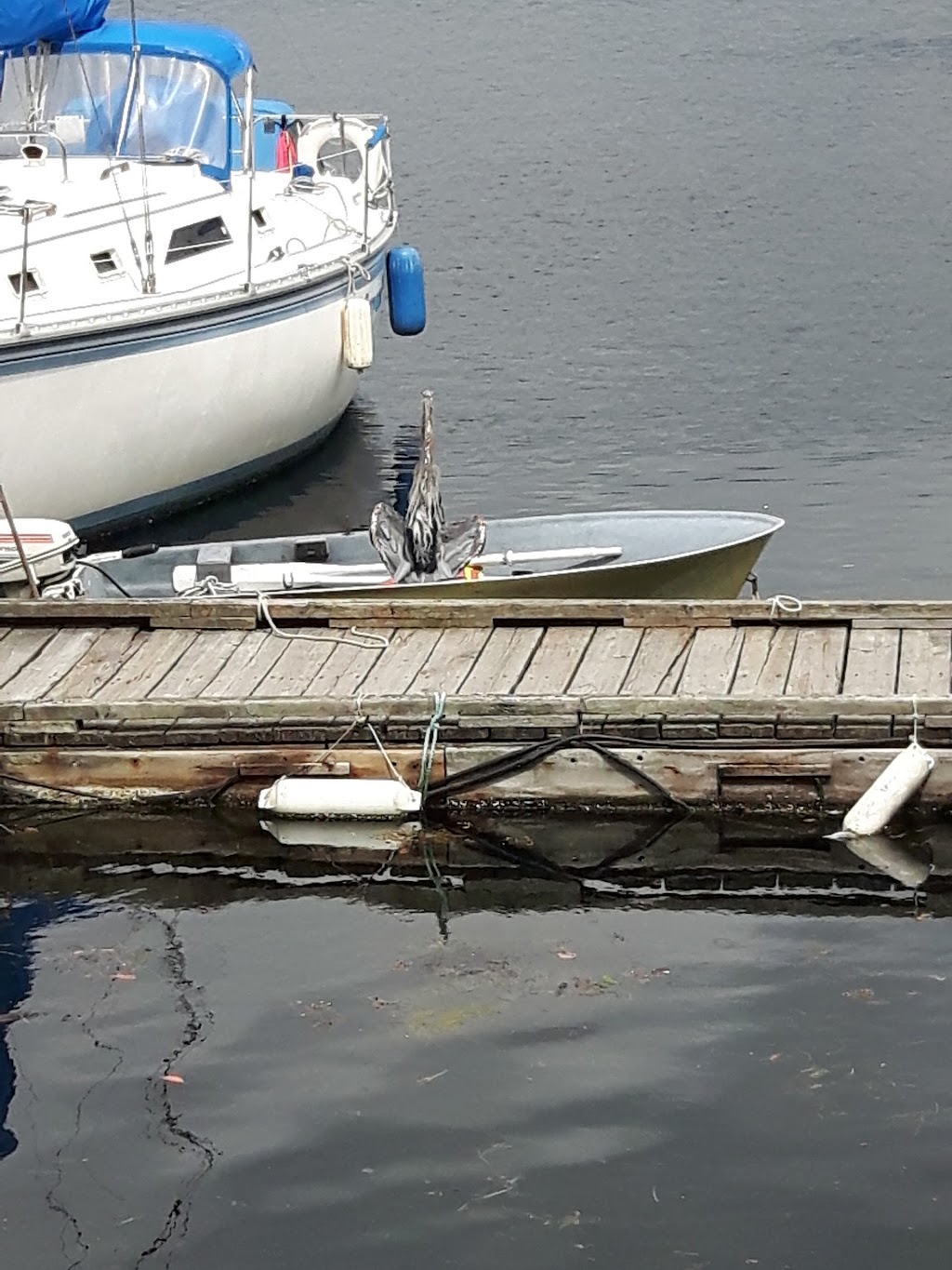 MacKenzie Sea Services Limited | 5788 Marine Way, Sechelt, BC V0N 3A6, Canada | Phone: (604) 885-7851