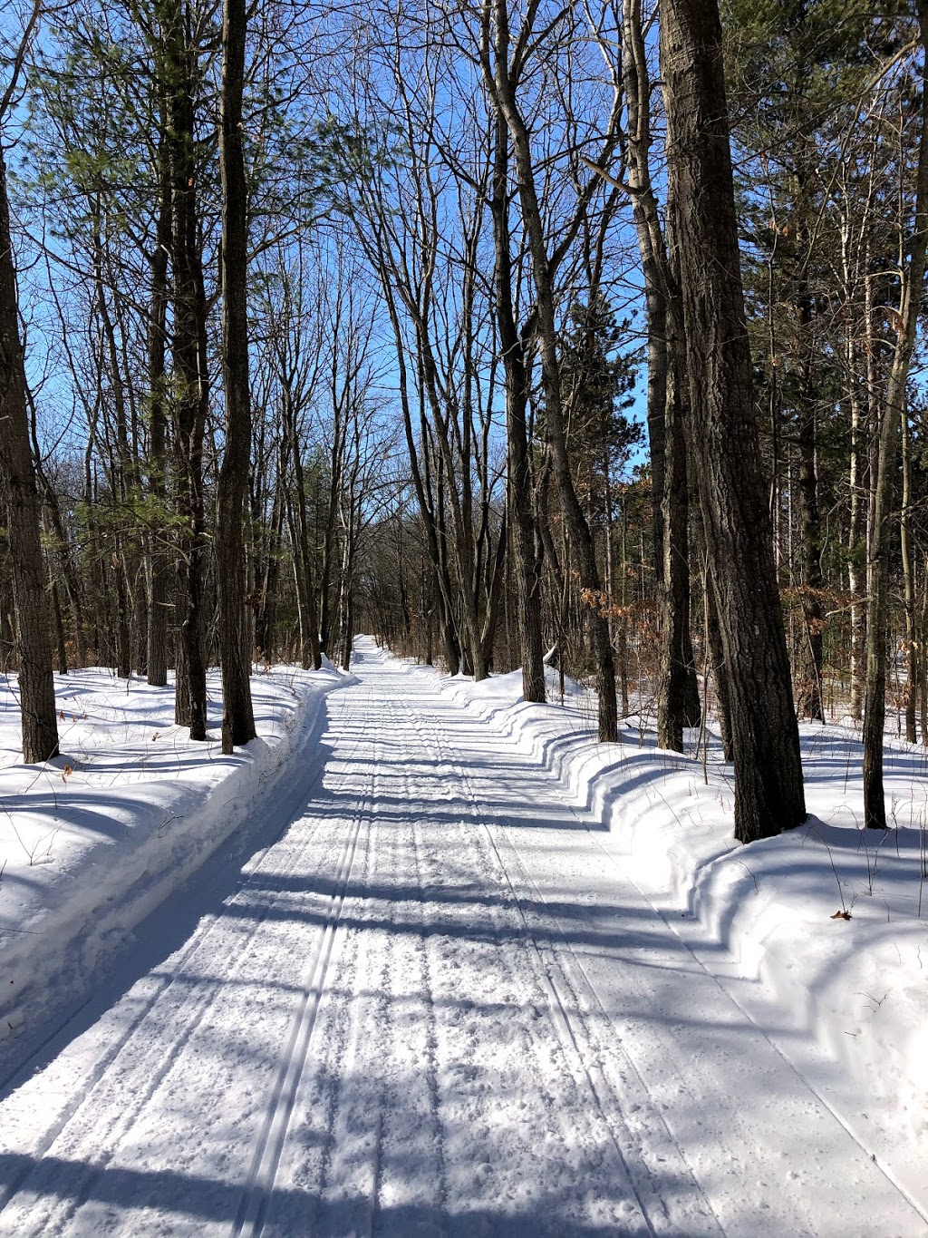 Northumberland County Forest | Alnwick/Haldimand, ON K0K 2X0, Canada | Phone: (905) 372-3329