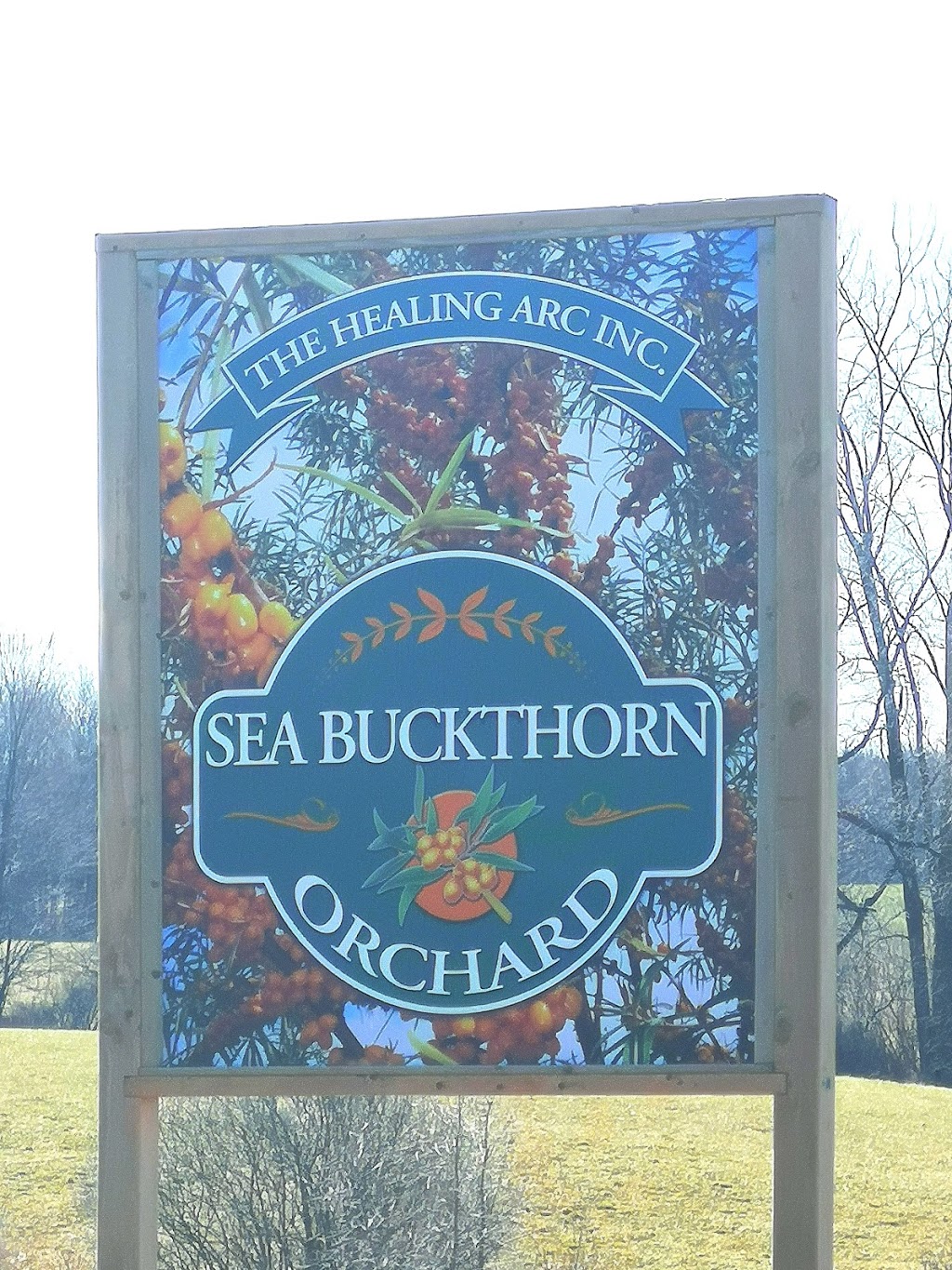 The Healing Arc | 166 Sideroad 25 S, Teeswater, ON N0G 2S0, Canada | Phone: (519) 357-3383