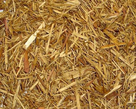 Spring Tree Farm Corporation | 2475 Innisfil Beach Rd, Innisfil, ON L9S 4C1, Canada | Phone: (705) 436-5623