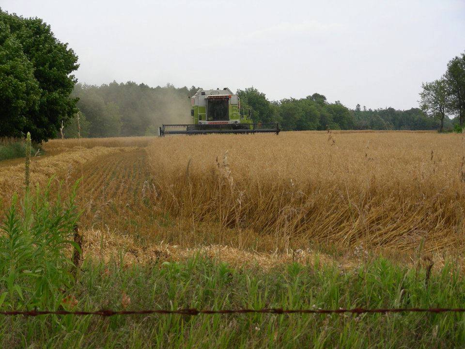 Windy Field Farms | 253164 9 Line, Amaranth, ON L9W 0H1, Canada | Phone: (519) 216-3657