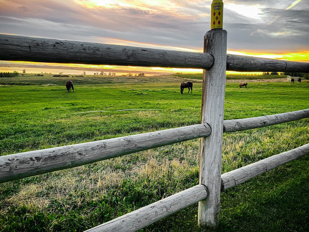 Rocking R Guest Ranch | 234051 Range Road 243, Strathmore, AB T1P 1J6, Canada | Phone: (403) 934-6974