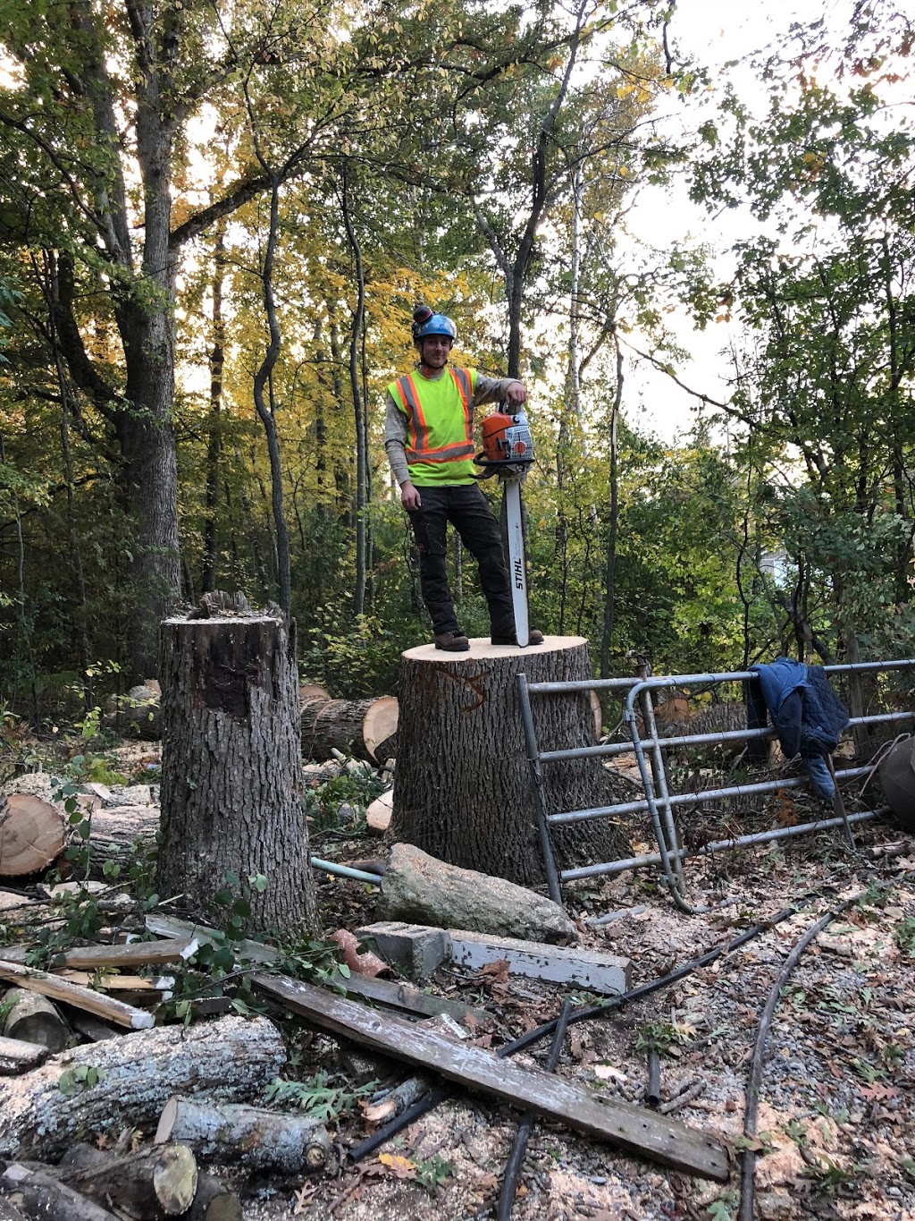Mercier’s Tree Service | 270 Lorindale Dr, Oshawa, ON L1H 6X4, Canada | Phone: (289) 355-3177