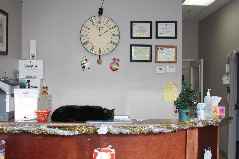 Foxcreek Animal Hospital | 2501 Third Line #12, Oakville, ON L6M 5A9, Canada | Phone: (905) 469-0800