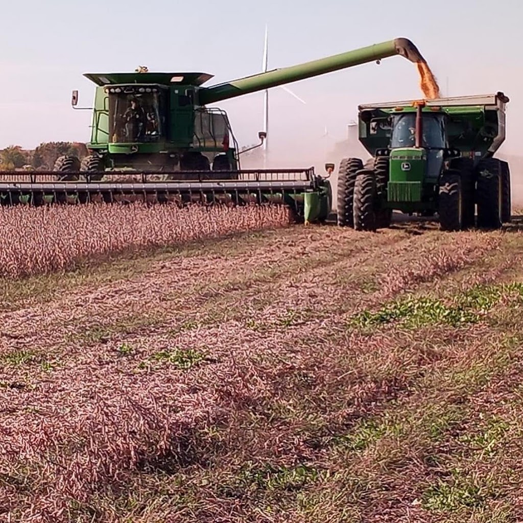 TD Custom Farming LTD | 4103 Swale Rd, Osgoode, ON K0A 2W0, Canada | Phone: (613) 558-5579
