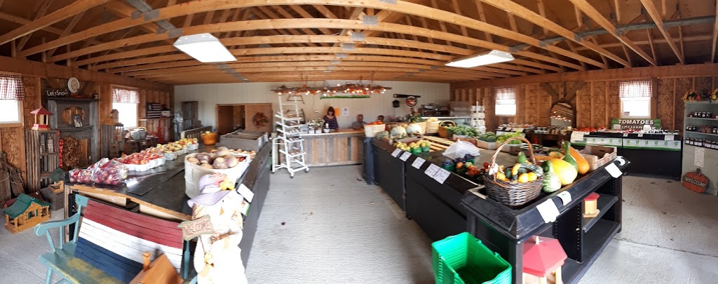 Joyce Farm Market | 15133-15139 Chatham-Kent County Rd 2, Bothwell, ON N0P 1C0, Canada | Phone: (519) 494-6561
