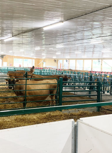 JW LED | 346142, 4th Concession B, Flesherton, ON N0C 1E0, Canada | Phone: (226) 916-1240