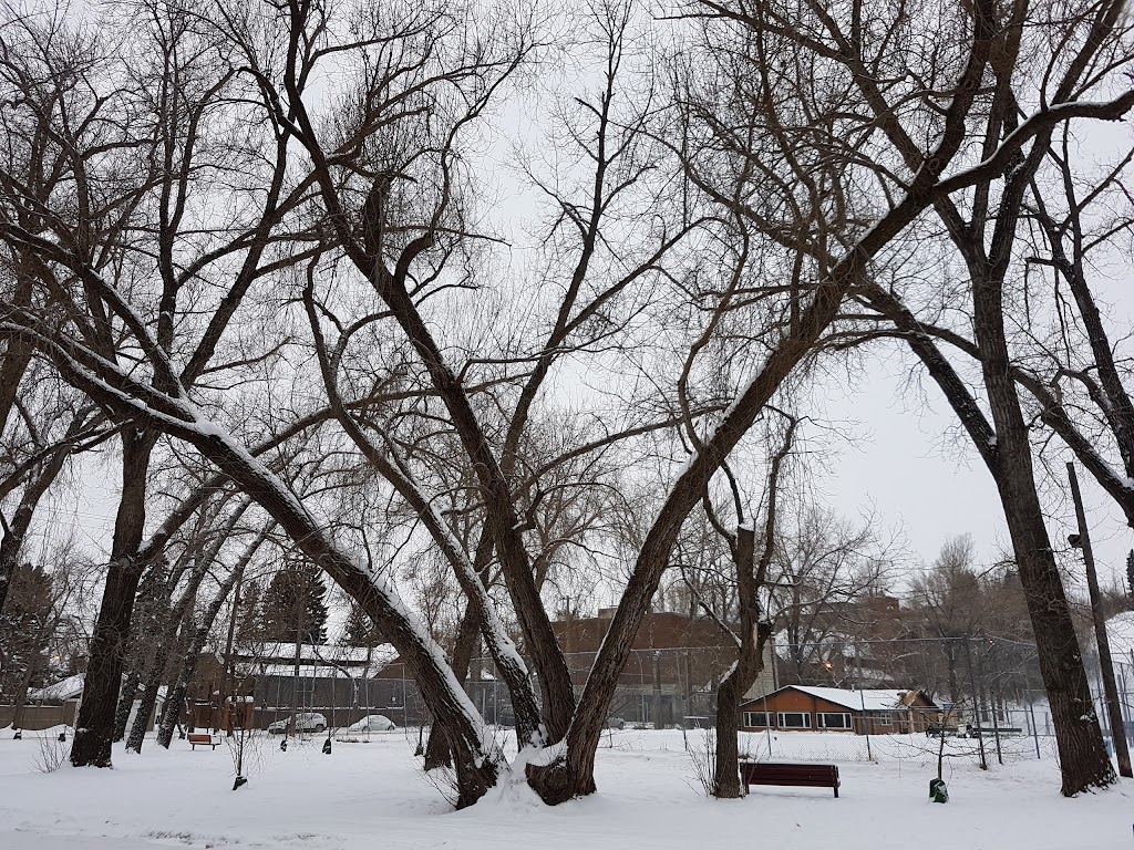 Elbow Park Tennis Club | 800 34 Ave SW, Calgary, AB T2T 2A3, Canada | Phone: (403) 452-8631
