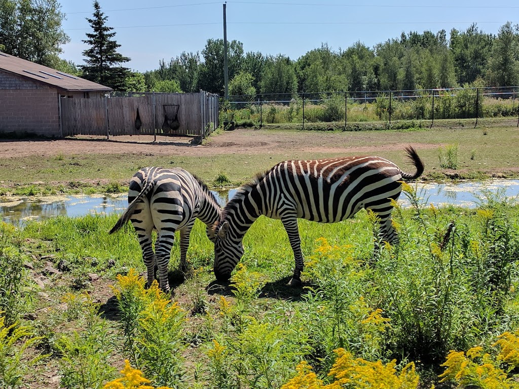 Magnetic Hill Zoo | 125 Magic Mountain Rd, Moncton, NB E1G 4V7, Canada | Phone: (506) 877-7720