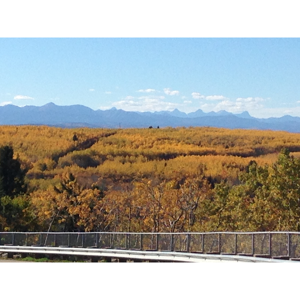 Restorative Conversations Ltd. | 30 Springborough Blvd SW #325, Calgary, AB T3H 0N9, Canada | Phone: (403) 455-1650